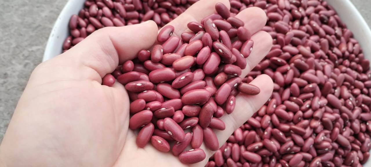 Pulses, Grains & Seeds